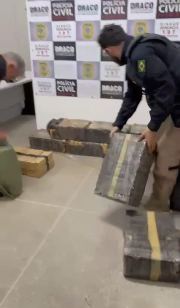 Polícia Civil apreende quase uma tonelada de maconha na cidade de Soledade PB